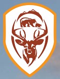 Long Lake Central School District's Logo